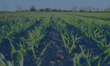 Regenerative Agriculture USA 2026