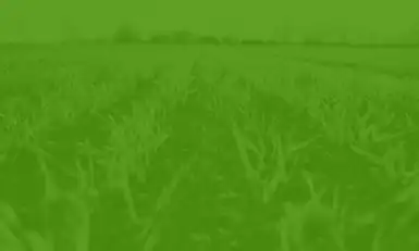 Regenerative Agriculture USA 2026