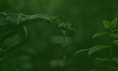 Biofuels Congress 2026