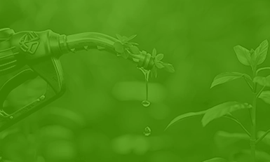 Biofuels Congress 2026