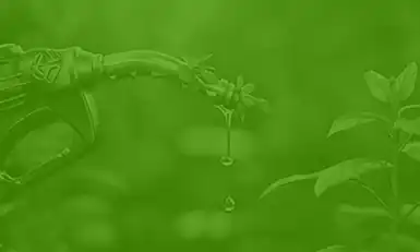 Biofuels Congress 2026