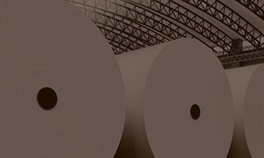 Paper-Pulp Summit 2026